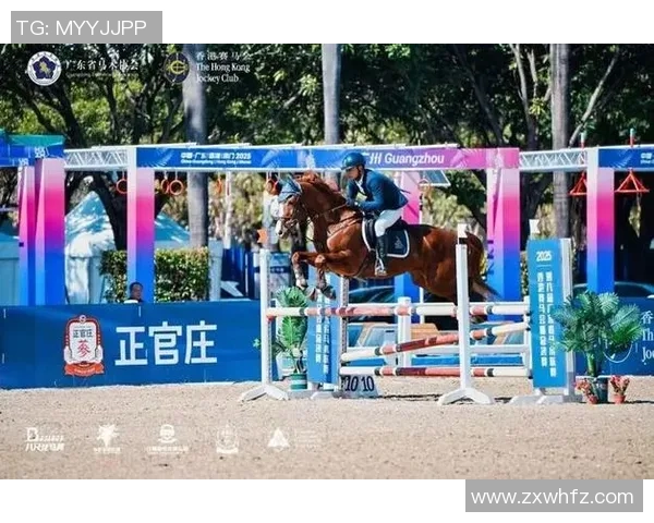 净月高质量开展速“读”丨东北马联马术总决赛在长春净月高新区举办 促进体旅交融开展